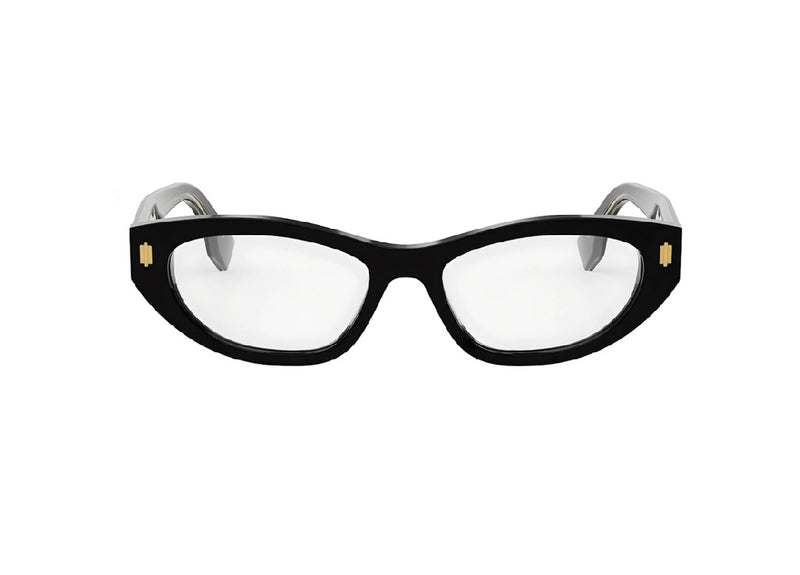 FENDI FE50119I occhiali, FENDI FE50119I frames, FENDI FE50119I brille