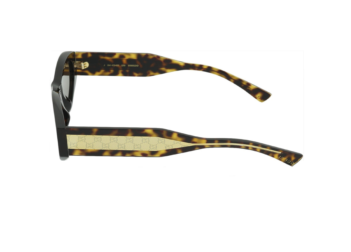 OCCHIALI DA SOLE GUCCI GG2065S (002) acetato havana con lenti marrone
