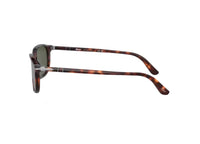 PERSOL PO3019 (24/31) Havannagrüne Sonnenbrille 52