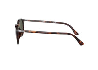 PERSOL PO3210S (24/31) Havana Green SUNGLASSES