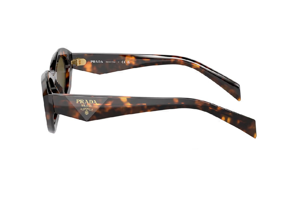 PRADA PR26ZS (14L09Z) Sonnenbrille aus havannafarbenem Acetat mit braunen Gläsern