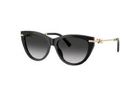 OCCHIALI DA SOLE TIFFANY & CO. TF4253 (80013C) in acetato nero e lenti grigie