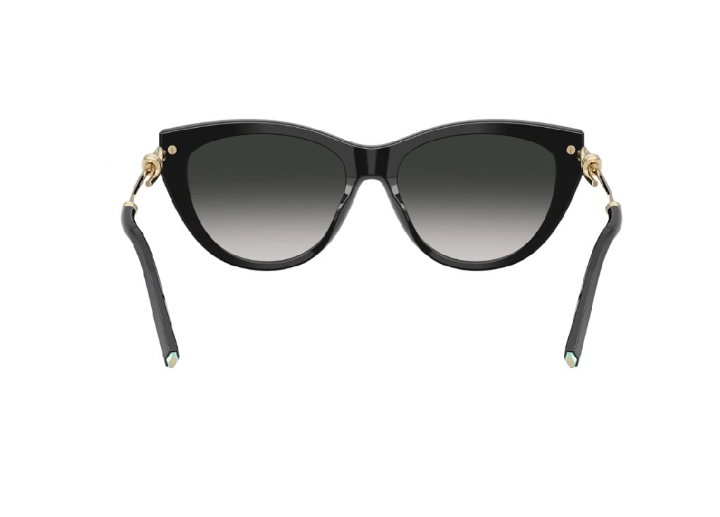 OCCHIALI DA SOLE TIFFANY & CO. TF4253 (80013C) in acetato nero e lenti grigie